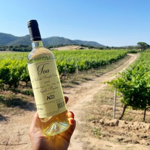2024 TOA Vermentino Isola dei Nuraghi Bianco, Cantina Augusto Mandras, Padru SC26