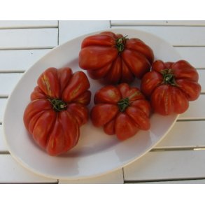 Gavekort til 150,- kr.