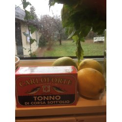 Tunfisk fra Carloforte - Hvad er det ? Beskrivelse  PVNOV25