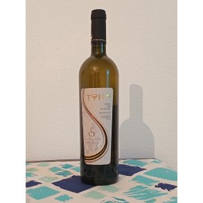 2024 TONO Arvesiniadu Isola dei Nuraghi Bianco, Cantina Sotgia, Bono SC26