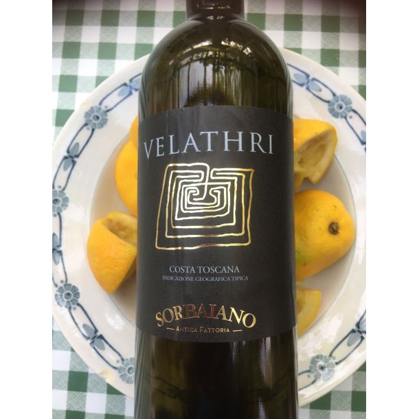 2021 Velathri Cabernet Franc Costa Toscana IgT, Sorbaiano GOT25