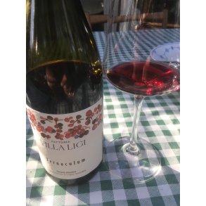 2024 Vernaculum Aleatico di Pergola DOC, Villa Ligi FORUD4142